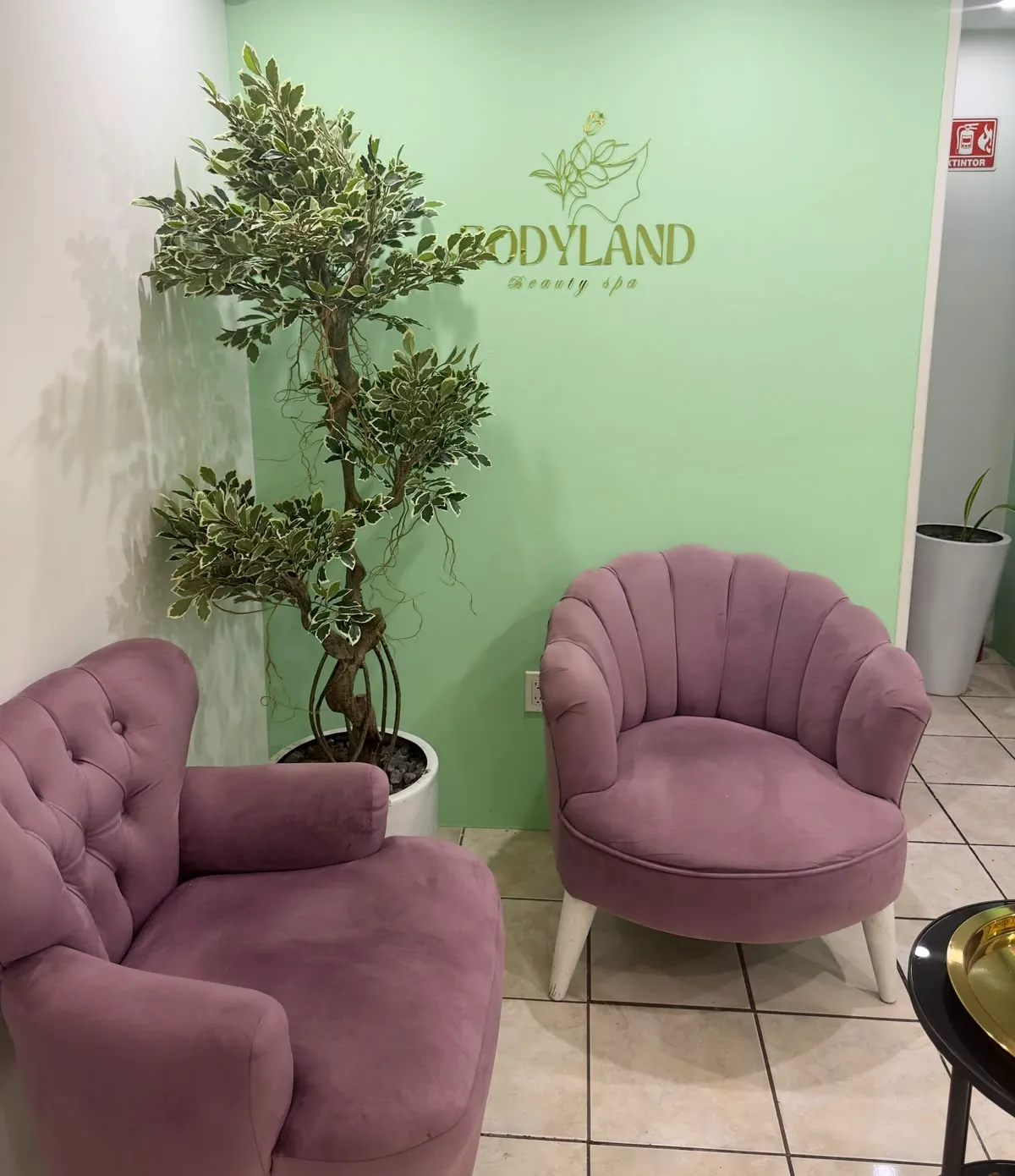 Recepción con sillones malva y árbol decorativo